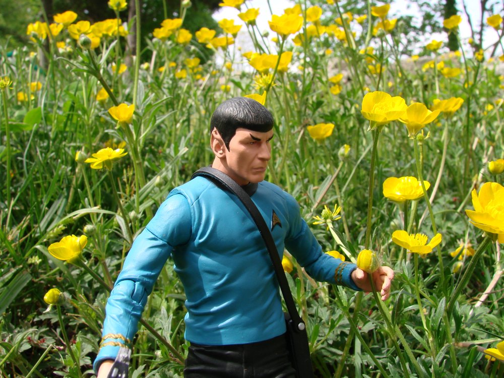 SpockFlowers